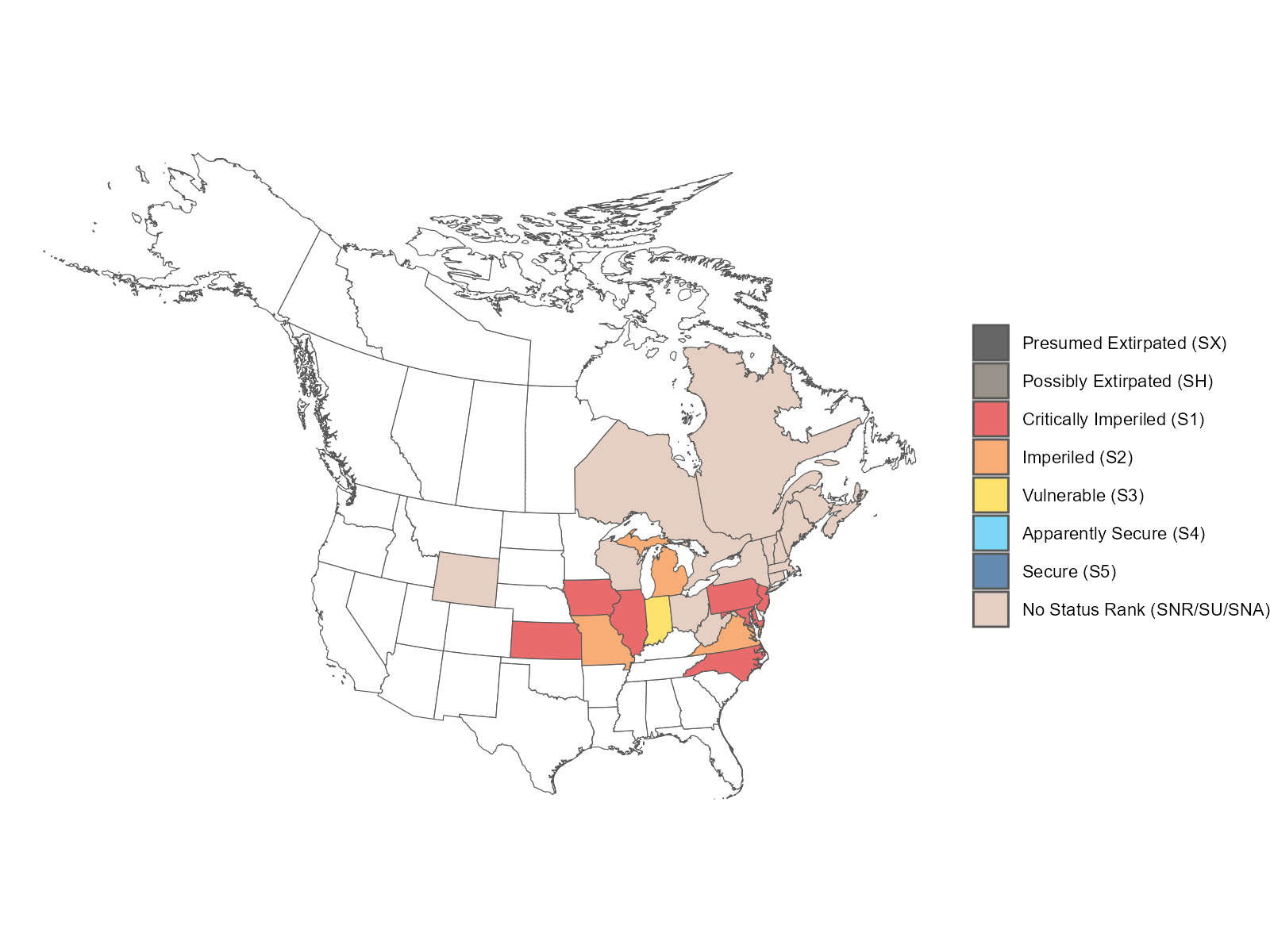 Queen-of-the-prairie"